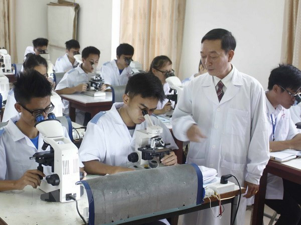 越南多措并举提高大学教育培训质量 ảnh 1