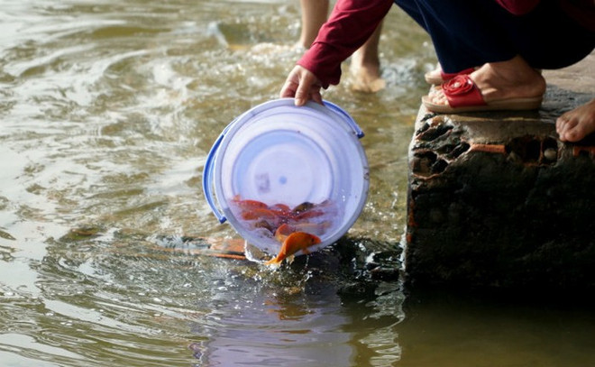 越南人民纷纷举行仪式送灶神上天 ảnh 2 越南人民纷纷举行仪式送灶神上天 ảnh 2