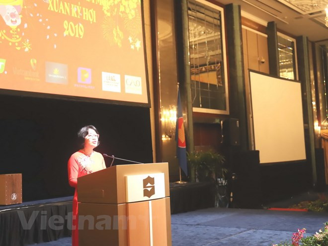 旅居海外越南人举行喜迎2019己亥猪年活动 ảnh 1