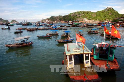 越南海洋岛屿:制定海洋经济可持续发展战略实施计划 ảnh 1 越南海洋岛屿:制定海洋经济可持续发展战略实施计划 ảnh 1