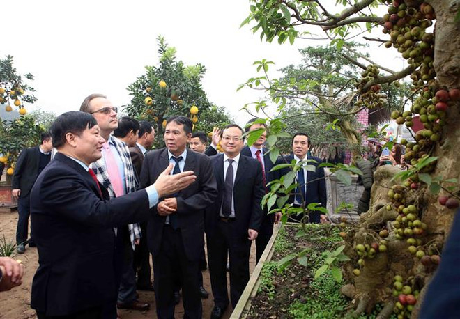 缤纷多彩的文江花卉节在兴安省举行 ảnh 3 缤纷多彩的文江花卉节在兴安省举行 ảnh 3