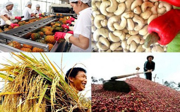 日本对越南86%商品取消进口关税 ảnh 1 日本对越南86%商品取消进口关税 ảnh 1