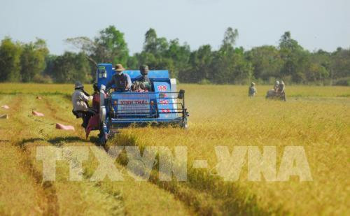 越南后江省向日本企业介绍投资优惠政策 ảnh 1 越南后江省向日本企业介绍投资优惠政策 ảnh 1