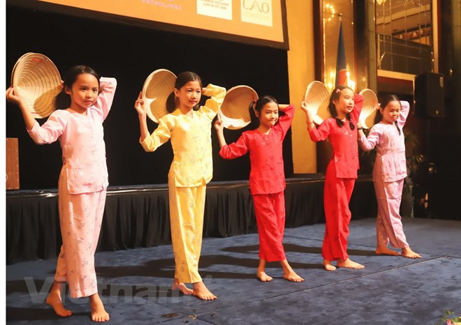 旅居海外越南人举行喜迎2019己亥猪年活动 ảnh 2