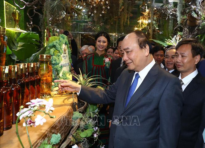 阮春福总理希望玉玲人参为越南药材产业打上深刻的历史烙印 ảnh 2