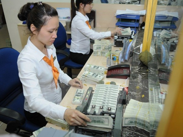 越南国家银行副行长:下调外币存款利率以防美元化现象 ảnh 1 越南国家银行副行长:下调外币存款利率以防美元化现象 ảnh 1