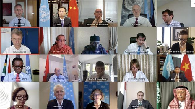 越南强调支持马里的独立、主权和领土完整 ảnh 1