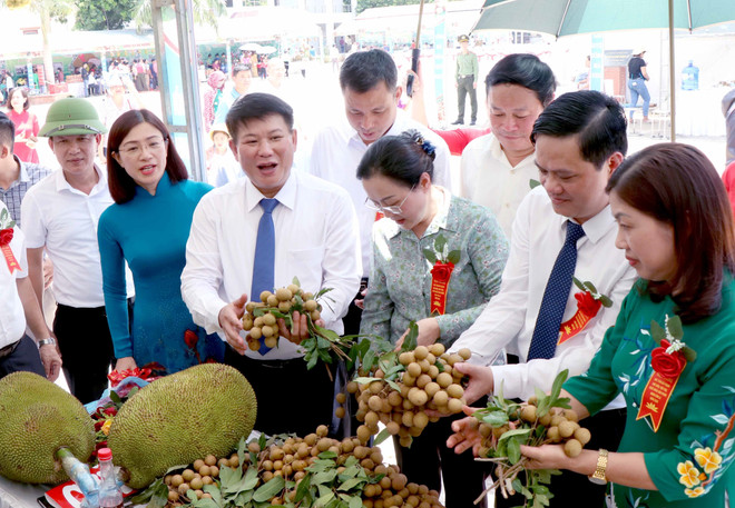 山罗省30吨龙眼正式出口到中国 ảnh 2 山罗省30吨龙眼正式出口到中国 ảnh 2