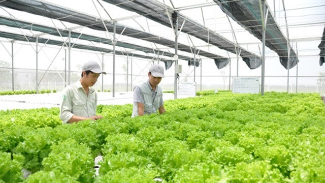 越南农业利用第四次工业革命成就实现发展 ảnh 1 越南农业利用第四次工业革命成就实现发展 ảnh 1