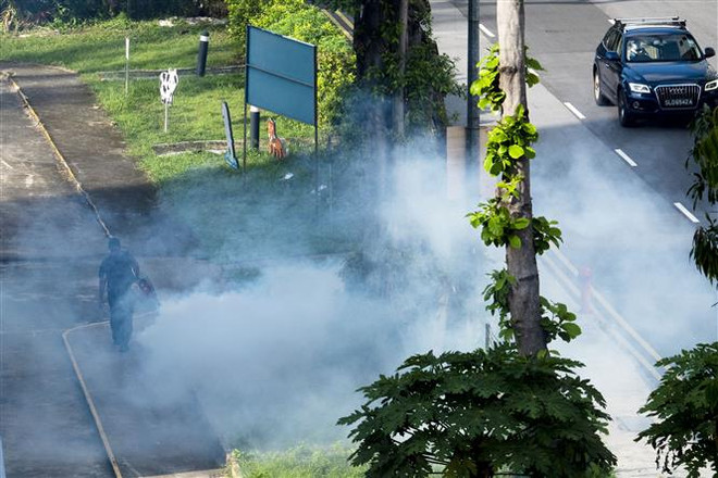 新加坡登革热疫情继续恶化 ảnh 1 新加坡登革热疫情继续恶化 ảnh 1