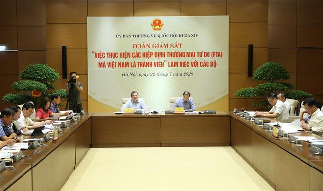 对越南作为成员的各项自贸协定实施情况进行监察 ảnh 2 对越南作为成员的各项自贸协定实施情况进行监察 ảnh 2