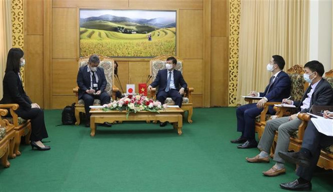 日本国际协力机构工作组访问安沛省 ảnh 1