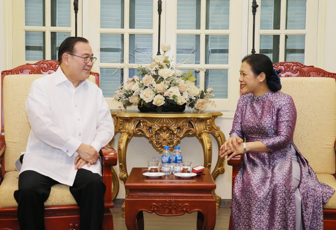 越南与菲律宾推动两国民间友好交流 ảnh 2