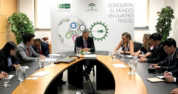 宣光省代表团对西班牙进行工作访问 ảnh 1