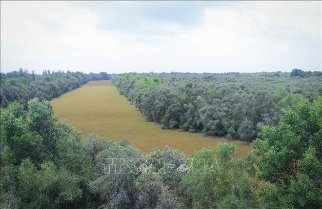  同塔梅生态保护区努力实现可持续发展 ảnh 1