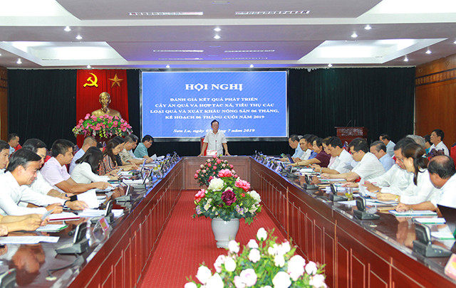 山罗省已对12个国际市场出口10.6万多吨水果 ảnh 1