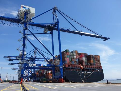 海防市国际集装箱码投运一年后集装箱吞吐量超过18.7万标准箱 ảnh 1