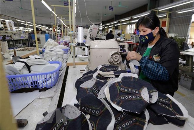 EVFTA:越南皮革鞋业发展的催化剂 ảnh 2 EVFTA:越南皮革鞋业发展的催化剂 ảnh 2