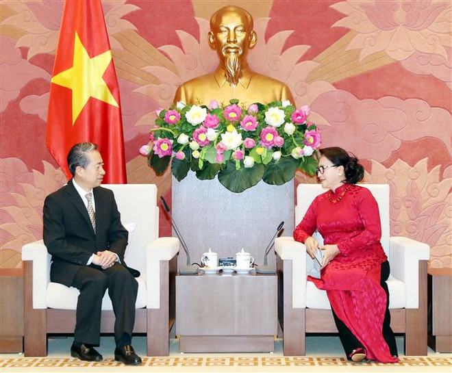 越南国会主席阮氏金银会见中国驻越大使熊波 ảnh 2 越南国会主席阮氏金银会见中国驻越大使熊波 ảnh 2