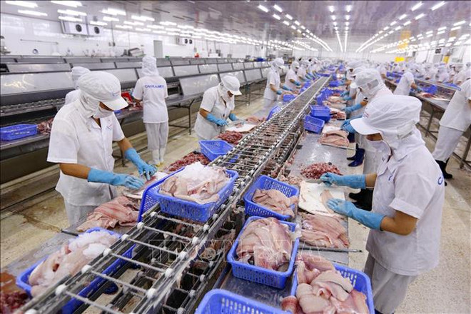 EVFTA成为促进越南出口活动的助推剂 ảnh 2 EVFTA成为促进越南出口活动的助推剂 ảnh 2