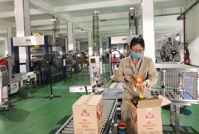越南各工业区园区企业入住率达近74% ảnh 1 越南各工业区园区企业入住率达近74% ảnh 1