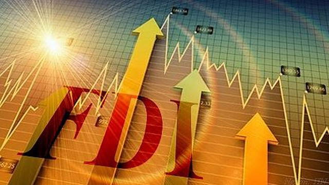 越南外商投资活动的新愿景 ảnh 1