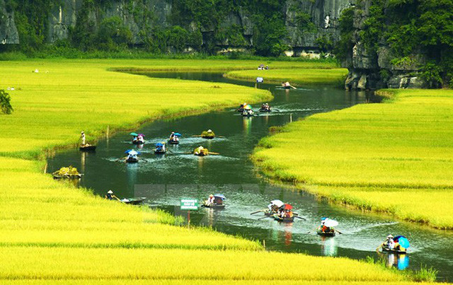 越南旅游业将迎来第150万名国际游客 ảnh 1 越南旅游业将迎来第150万名国际游客 ảnh 1