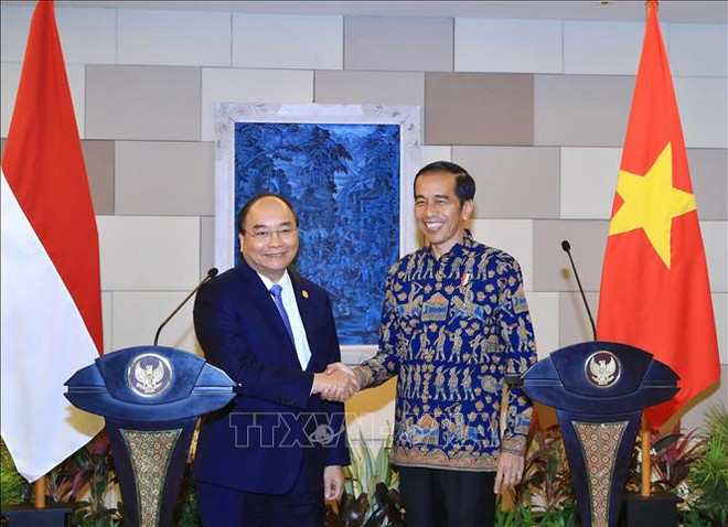越南副外长阮国勇：阮春福印尼之行成果丰硕 ảnh 1