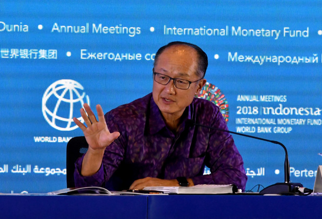 2018年国际货币基金组织和世界银行年会在印尼举行 ảnh 1