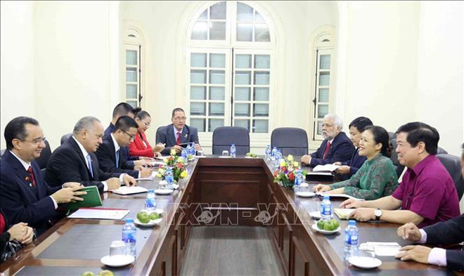 进一步加强越南与委内瑞拉的传统团结与友谊 ảnh 1