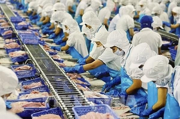 越南外贸出口有起色但仍面临诸多挑战 ảnh 2 越南外贸出口有起色但仍面临诸多挑战 ảnh 2