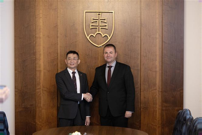 越南与斯洛伐克加强代表团互访活动 ảnh 1