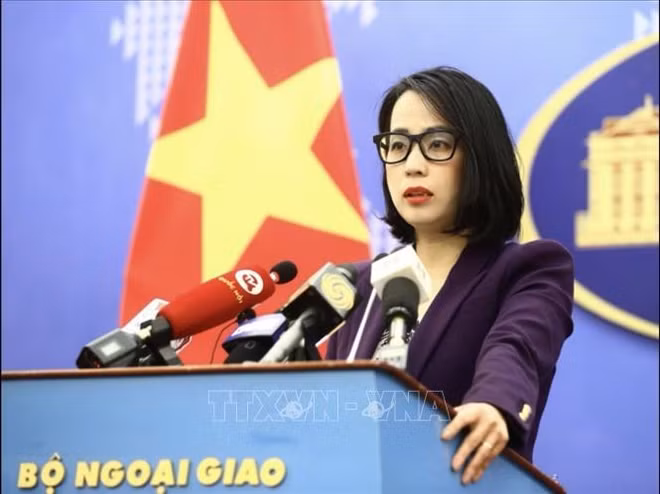 越南外交部例行记者会：中国的东海休渔令侵犯越南主权 ảnh 1