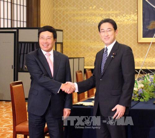 越日加强双边多领域的合作关系 ảnh 1