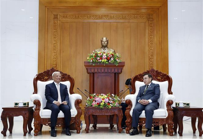 老挝领导人高度评价越南和平委员会的到访 ảnh 1