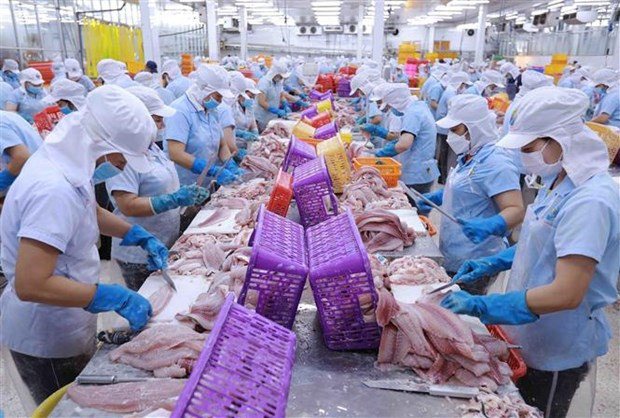 德国专家高度评价越欧自贸协定带来的效果 ảnh 2 德国专家高度评价越欧自贸协定带来的效果 ảnh 2