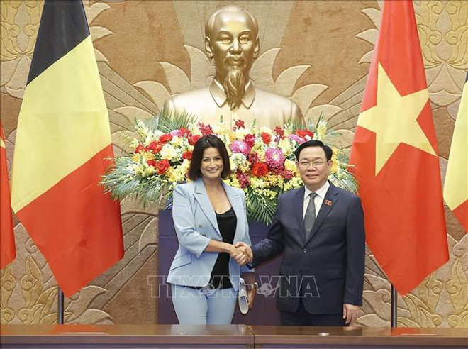 比利时参议院议长斯蒂芬妮·德霍斯圆满结束对越南的正式访问 ảnh 1 比利时参议院议长斯蒂芬妮·德霍斯圆满结束对越南的正式访问 ảnh 1