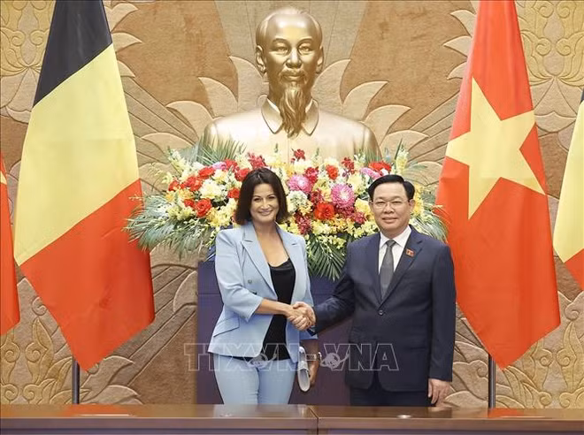 比利时参议院议长斯蒂芬妮·德霍斯圆满结束对越南的正式访问 ảnh 1