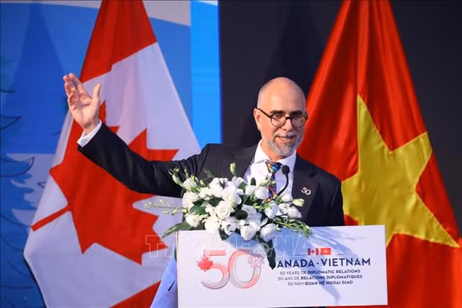 加拿大驻越南大使肖恩·佩里·斯泰尔：越南与加拿大关系实现“跨越式发展” ảnh 1