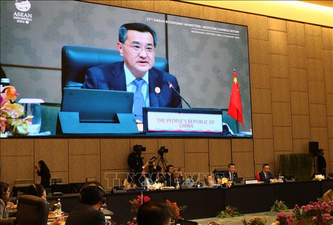 东盟与中国举行经济部长磋商会议 ảnh 1 东盟与中国举行经济部长磋商会议 ảnh 1