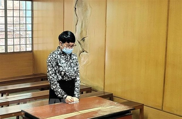 胡志明市一人在因脸书上发帖侮辱党和国家领导人被判有期徒刑十八个月 ảnh 1