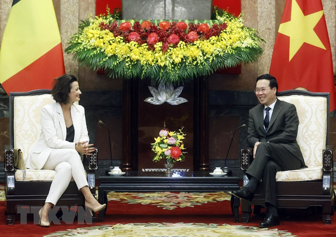 国家主席武文赏会见比利时参议院议长斯蒂芬妮·德霍斯 ảnh 2 国家主席武文赏会见比利时参议院议长斯蒂芬妮·德霍斯 ảnh 2