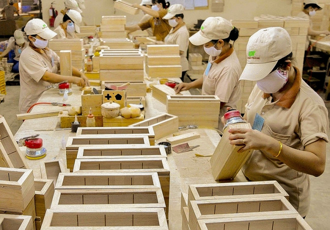 ☕️越通社新闻下午茶(2023.8.23) ảnh 4 ☕️越通社新闻下午茶(2023.8.23) ảnh 4