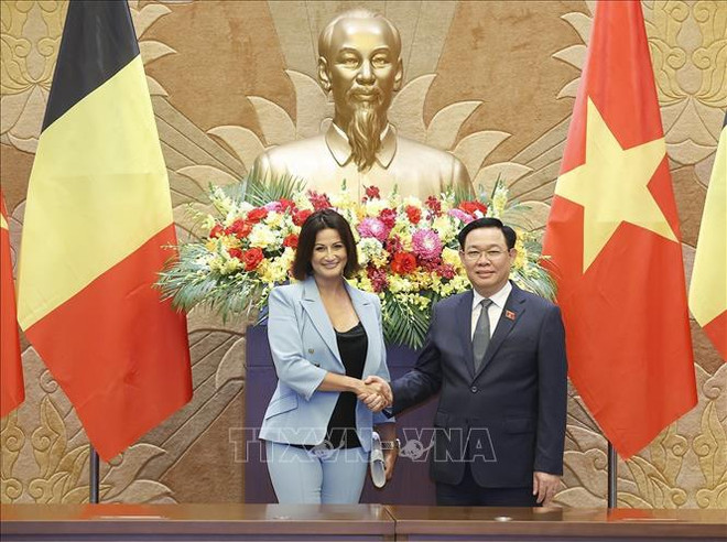 越南国会主席王廷惠与比利时参议院议长斯蒂芬妮·德霍斯举行会谈 ảnh 1 越南国会主席王廷惠与比利时参议院议长斯蒂芬妮·德霍斯举行会谈 ảnh 1