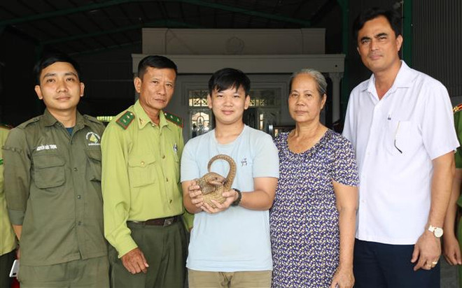 平福省一名学生将一只珍稀穿山甲交给森林保护部门 ảnh 1 平福省一名学生将一只珍稀穿山甲交给森林保护部门 ảnh 1