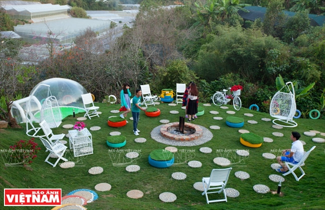 探索大叻涵管式客栈 ảnh 5