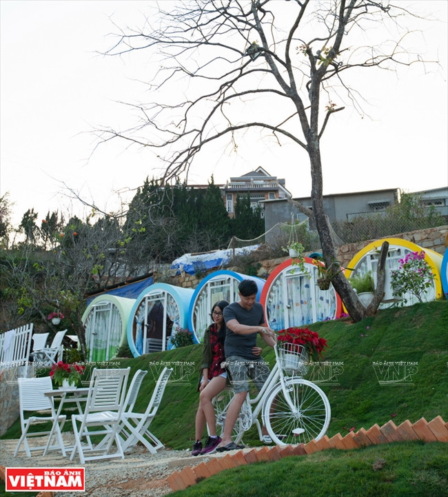 探索大叻涵管式客栈 ảnh 7