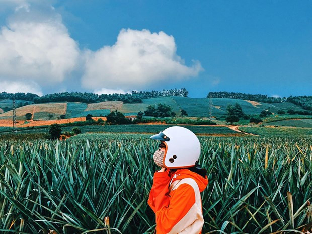 4·30假期游客不可错过的特色旅游景点 ảnh 6 4·30假期游客不可错过的特色旅游景点 ảnh 6