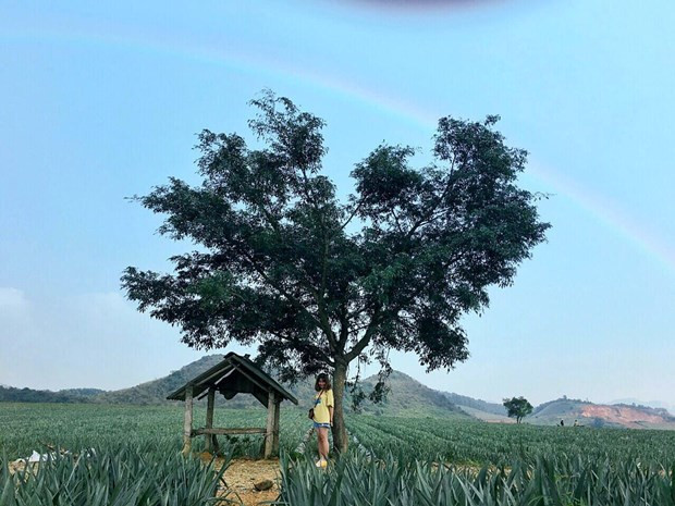 4·30假期游客不可错过的特色旅游景点 ảnh 7 4·30假期游客不可错过的特色旅游景点 ảnh 7