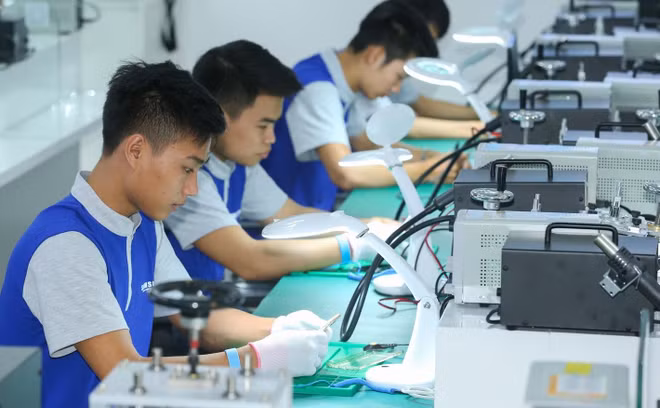 越南将职业教育改革与数字化转型相结合 ảnh 1